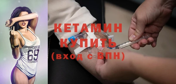 шишки Переславль-Залесский