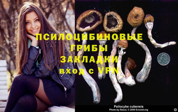 скорость Пересвет