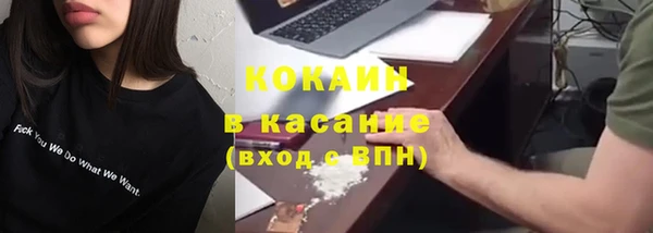 шишки Переславль-Залесский