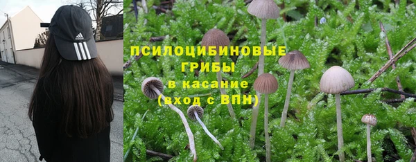 прущая мука Пестово