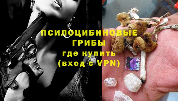 скорость Пересвет