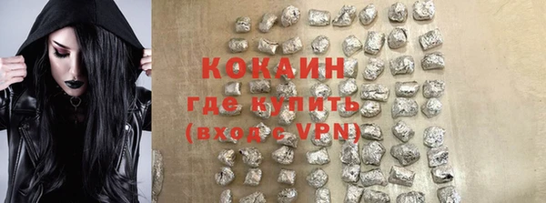ПСИЛОЦИБИНОВЫЕ ГРИБЫ Гусев