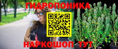 шишки Волжский