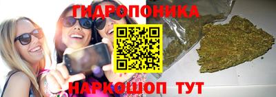 гидропоника Абинск