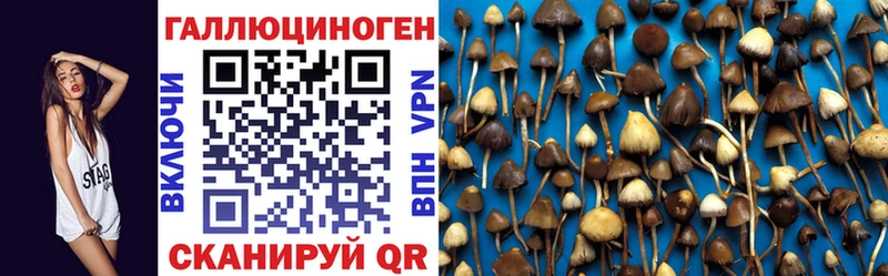 купить  цена  Алатырь  Псилоцибиновые грибы MAGIC MUSHROOMS 