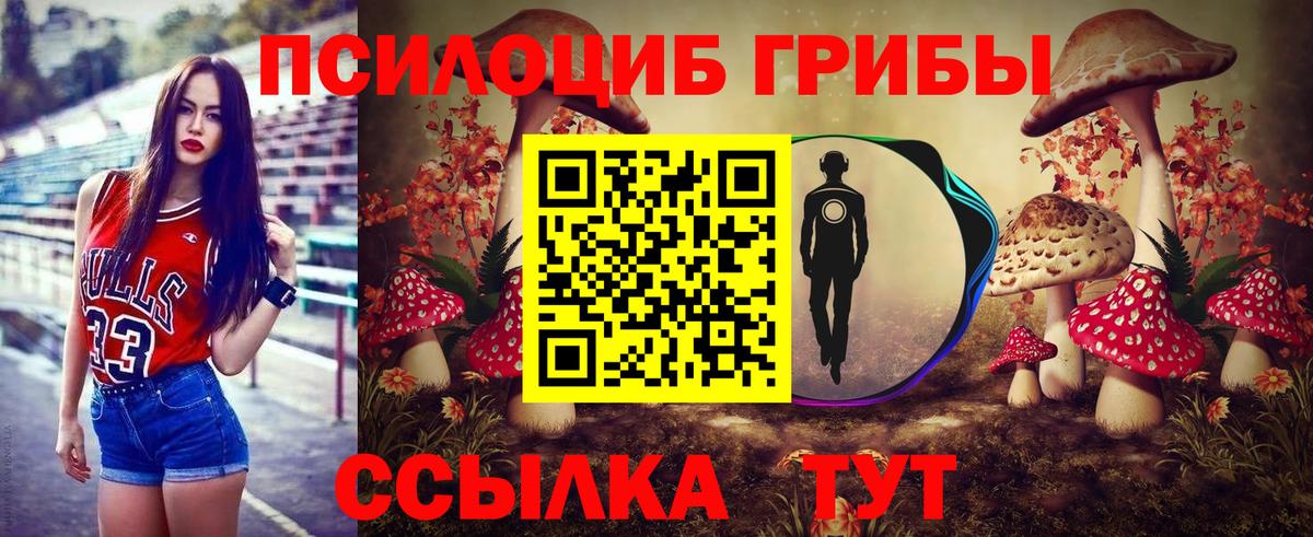 Псилоцибиновые грибы GOLDEN TEACHER  Псилоцибиновые грибы MAGIC MUSHROOMS  закладки  Алатырь 