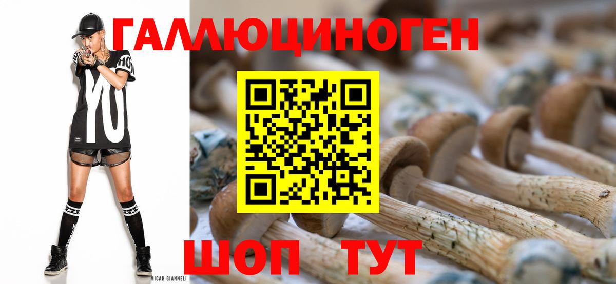 Псилоцибиновые грибы Cubensis  Вход с VPN  Алатырь 