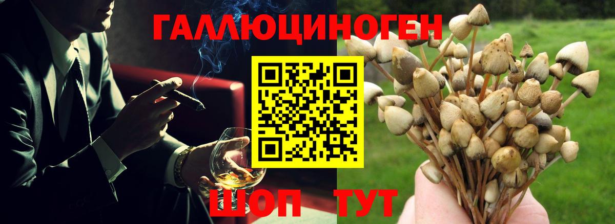 Галлюциногенные грибы прущие грибы Алатырь