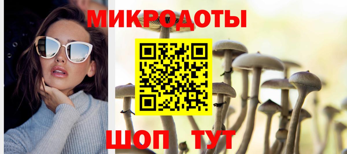 Алатырь  Псилоцибиновые грибы мицелий  Вход с VPN 