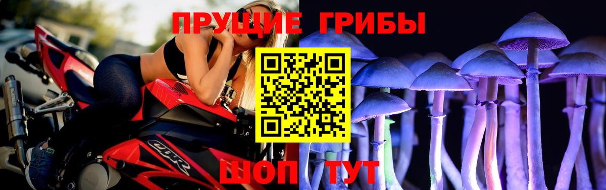Галлюциногенные грибы Magic Shrooms Алатырь